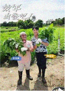 综艺字幕口语顺滑专题插图